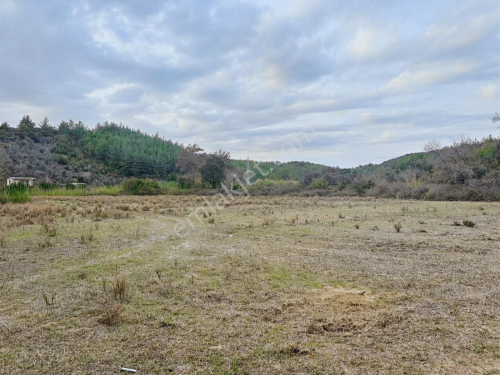 Antalya Manavgat Örenşehir Mahallesi Satılık Tarla - Görsel 17