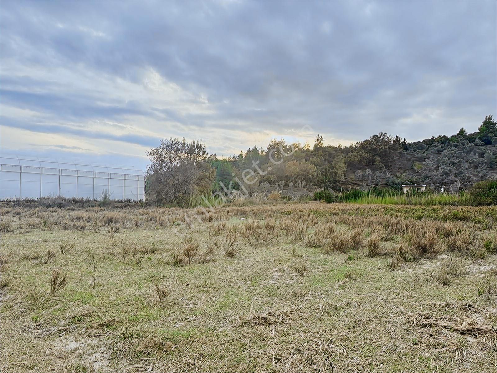 Antalya Manavgat Örenşehir Mahallesi Satılık Tarla - Görsel 23