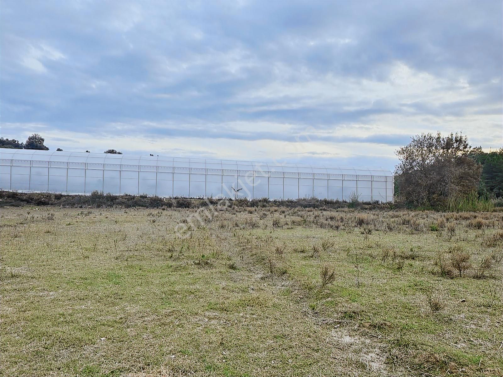 Antalya Manavgat Örenşehir Mahallesi Satılık Tarla - Görsel 22