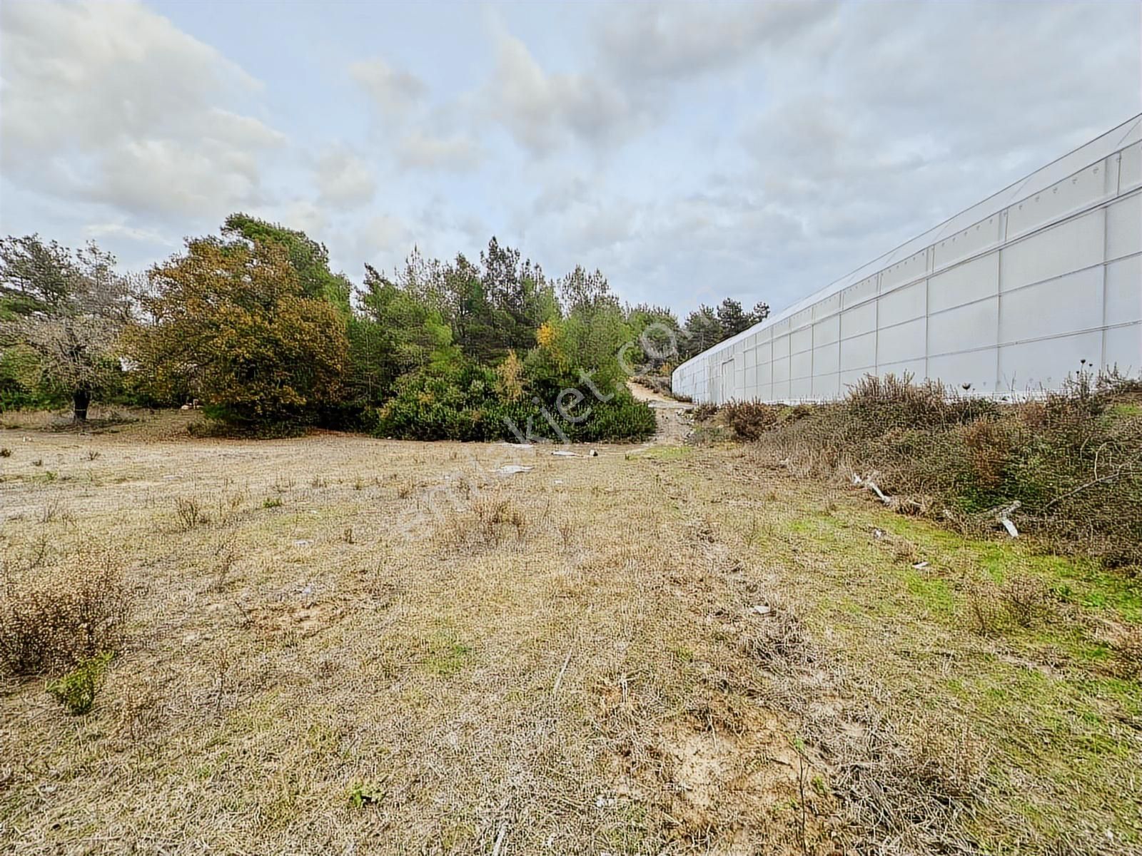 Antalya Manavgat Örenşehir Mahallesi Satılık Tarla - Görsel 29