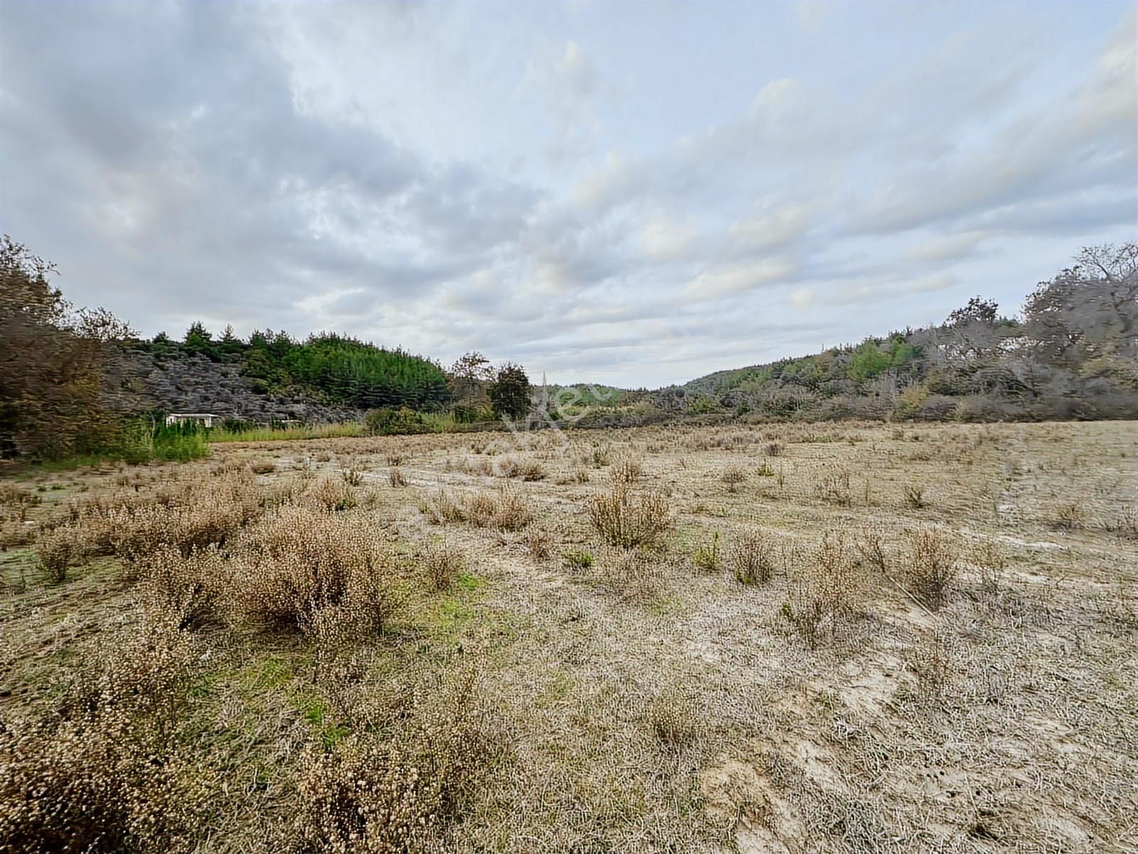 Antalya Manavgat Örenşehir Mahallesi Satılık Tarla - Görsel 4