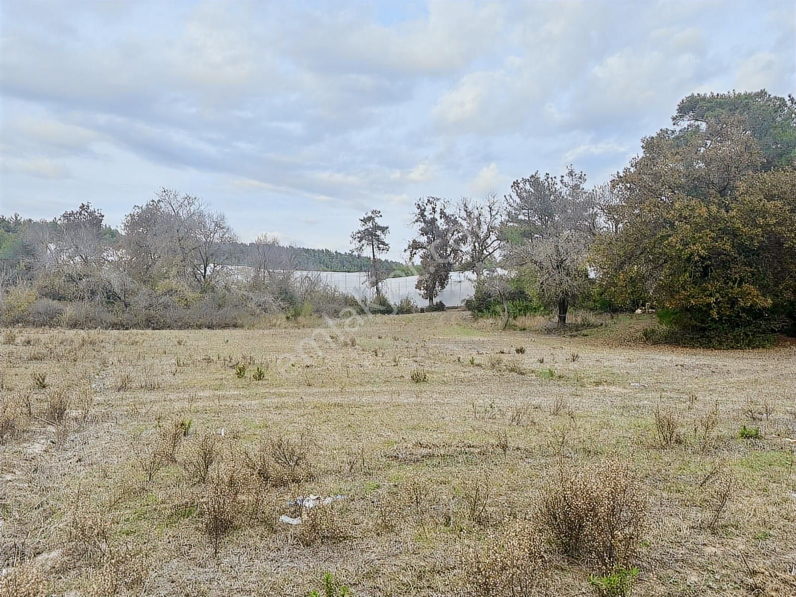 Antalya Manavgat Örenşehir Mahallesi Satılık Tarla - Görsel 18