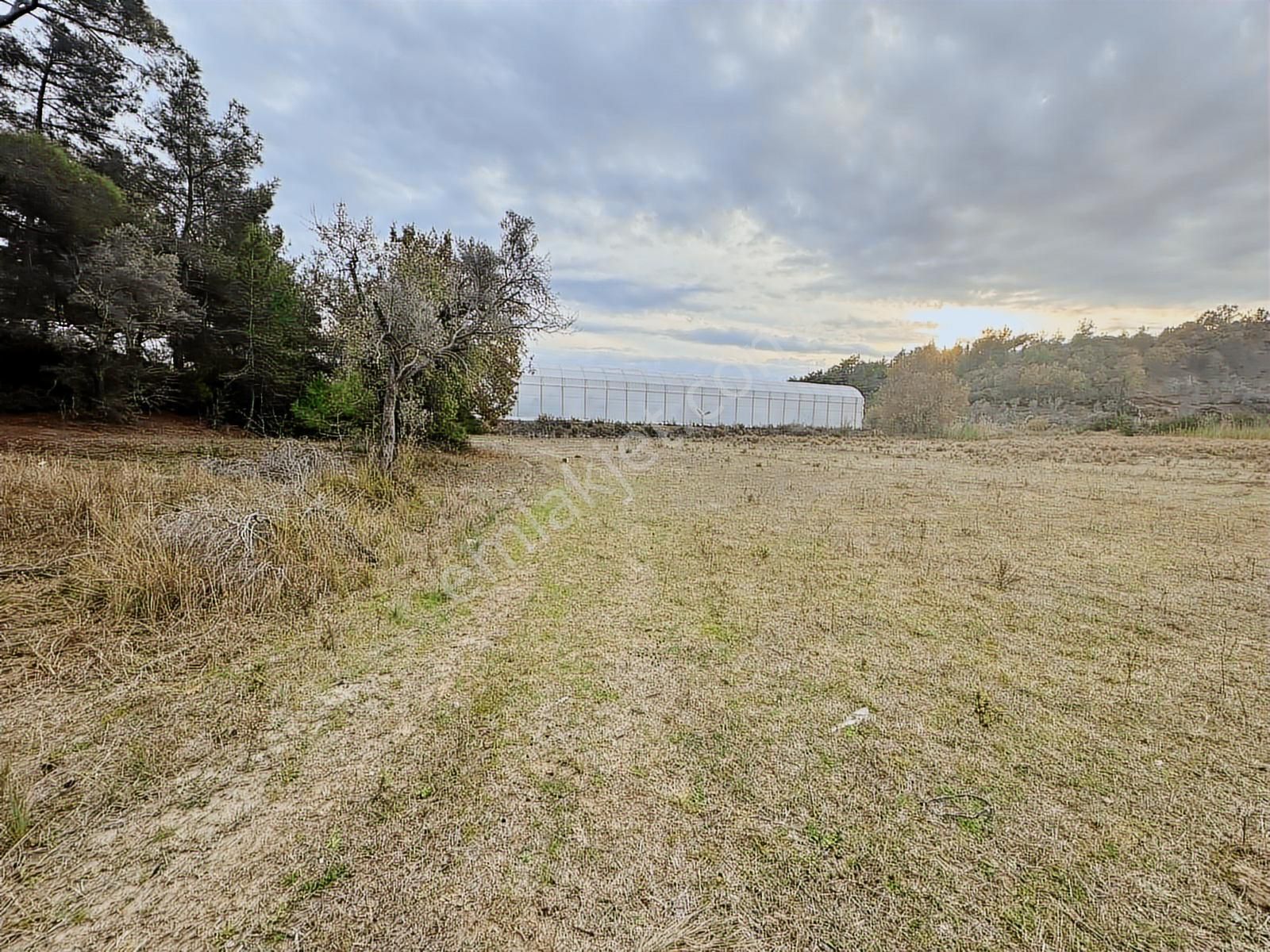 Antalya Manavgat Örenşehir Mahallesi Satılık Tarla - Görsel 3