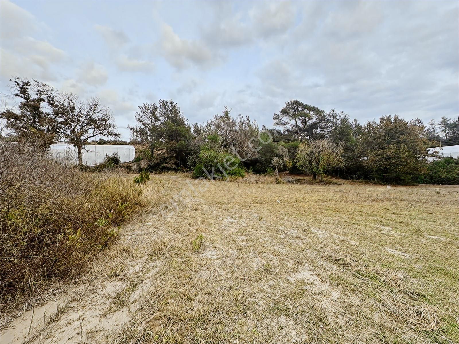 Antalya Manavgat Örenşehir Mahallesi Satılık Tarla - Görsel 10