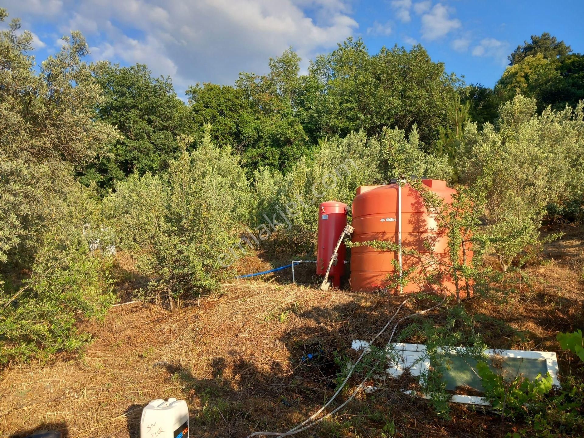 Havuzlu Dublex Müstakil 1550 Mt.arsa İçinde Köyiçi Yazlık Kışlık - Görsel 8