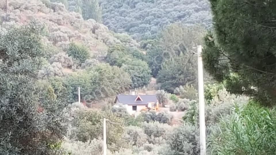 Havuzlu Dublex Müstakil 1550 Mt.arsa İçinde Köyiçi Yazlık Kışlık - Görsel 22