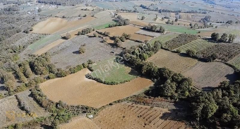 Kandıra Kaymaz'da 2.525m² Satılık Resmi Yol Cepheli Fırsat Arazi - Görsel 6