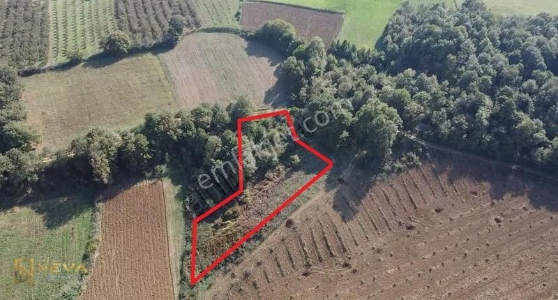 Kandıra Kaymaz'da 2.525m² Satılık Resmi Yol Cepheli Fırsat Arazi - Görsel 8