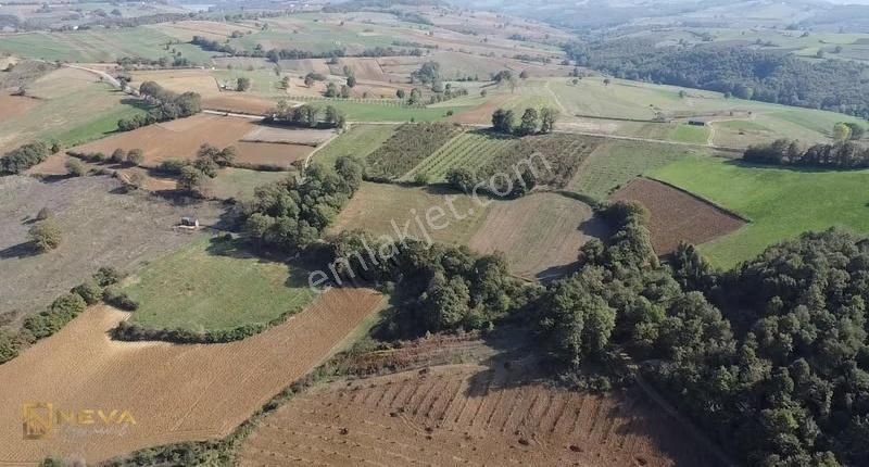 Kandıra Kaymaz'da 2.525m² Satılık Resmi Yol Cepheli Fırsat Arazi - Görsel 2