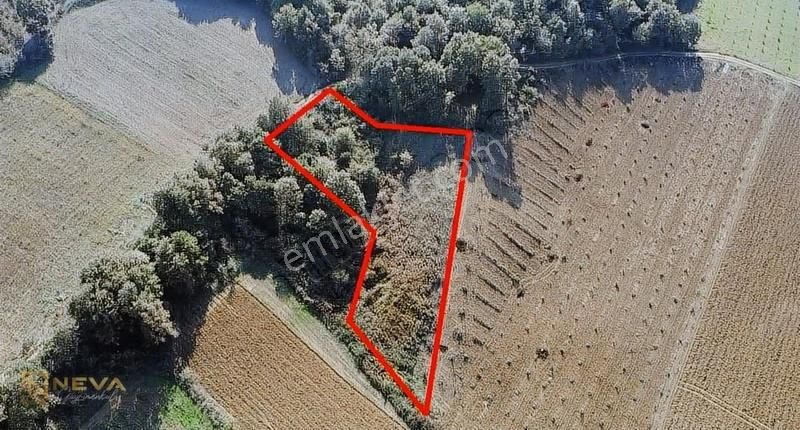 Kandıra Kaymaz'da 2.525m² Satılık Resmi Yol Cepheli Fırsat Arazi