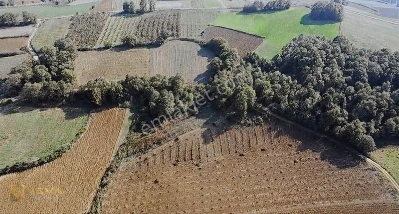 Kandıra Kaymaz'da 2.525m² Satılık Resmi Yol Cepheli Fırsat Arazi - Görsel 14