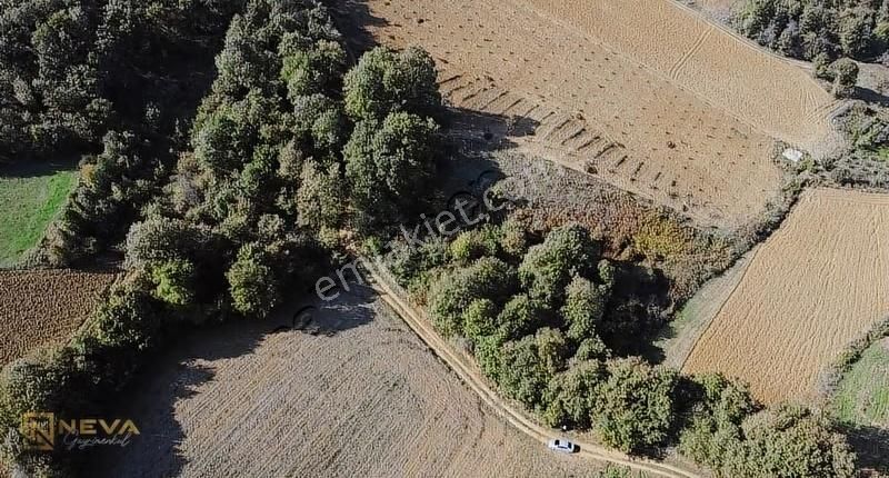 Kandıra Kaymaz'da 2.525m² Satılık Resmi Yol Cepheli Fırsat Arazi - Görsel 13