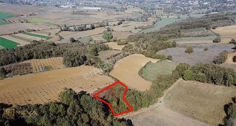 Kandıra Kaymaz'da 2.525m² Satılık Resmi Yol Cepheli Fırsat Arazi - Görsel 10