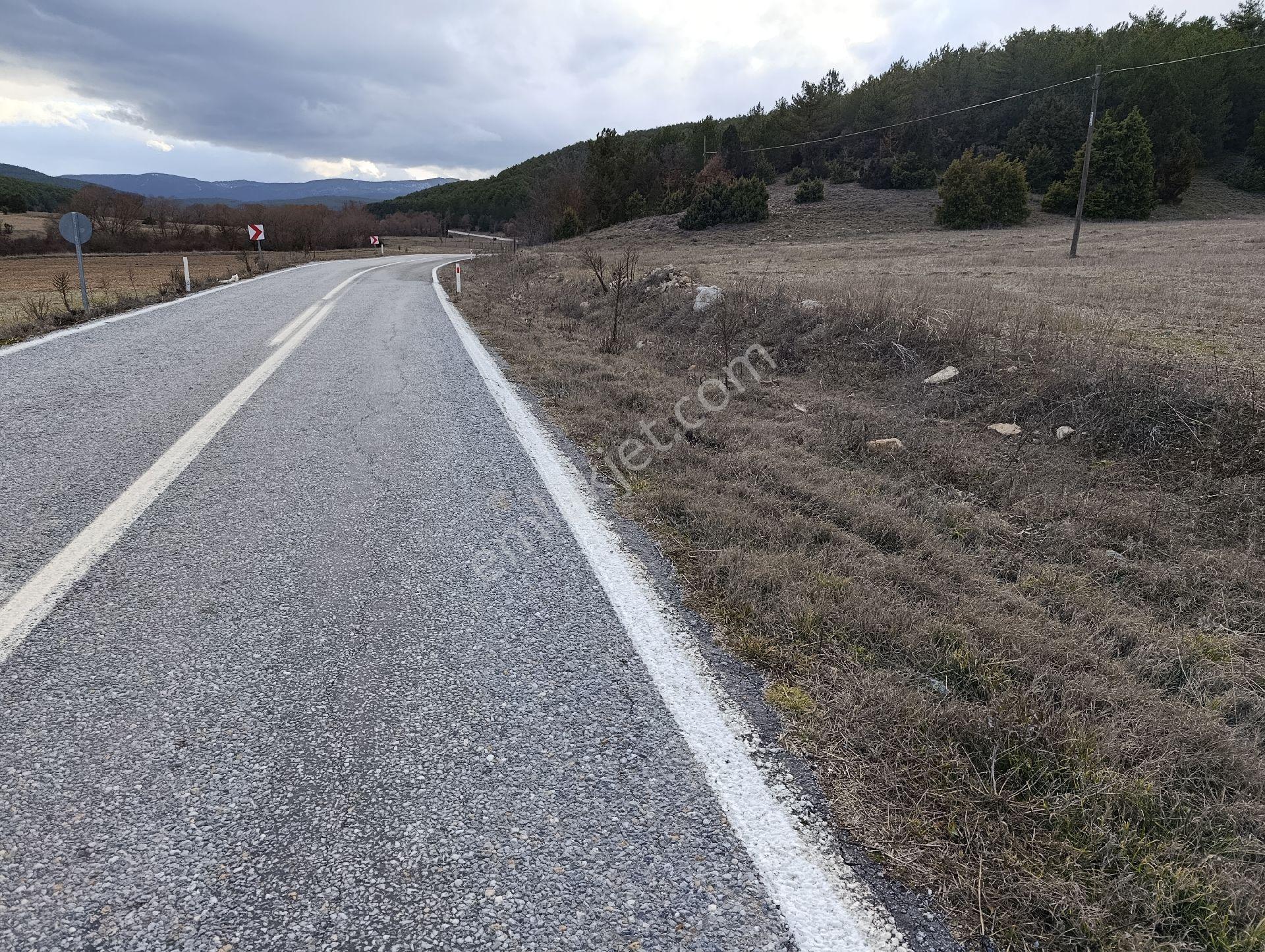 Kütahya Altıntaş Pınarcık Kelepir Arsa Ve Tarla - Görsel 14