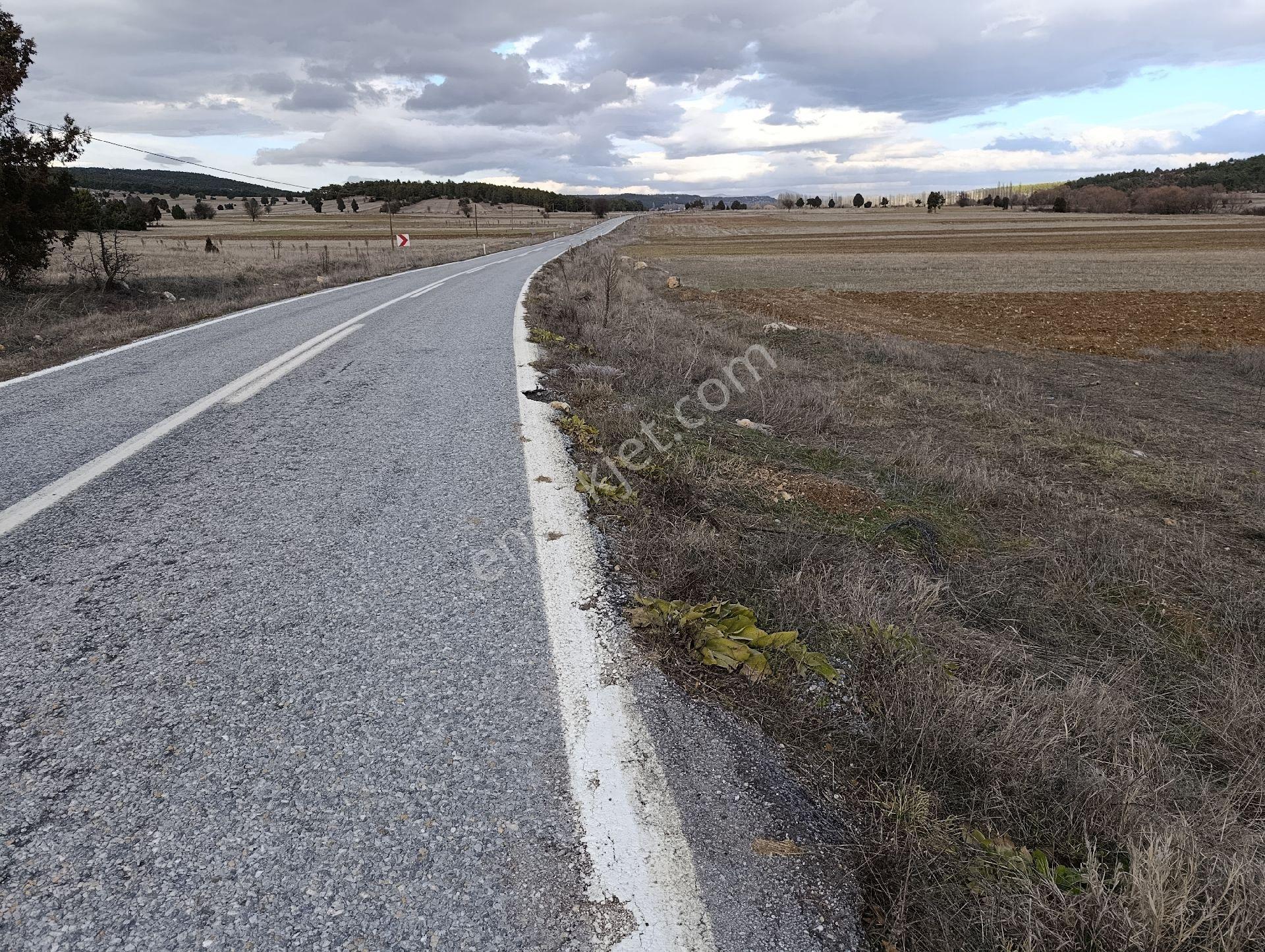 Kütahya Altıntaş Pınarcık Kelepir Arsa Ve Tarla - Görsel 28