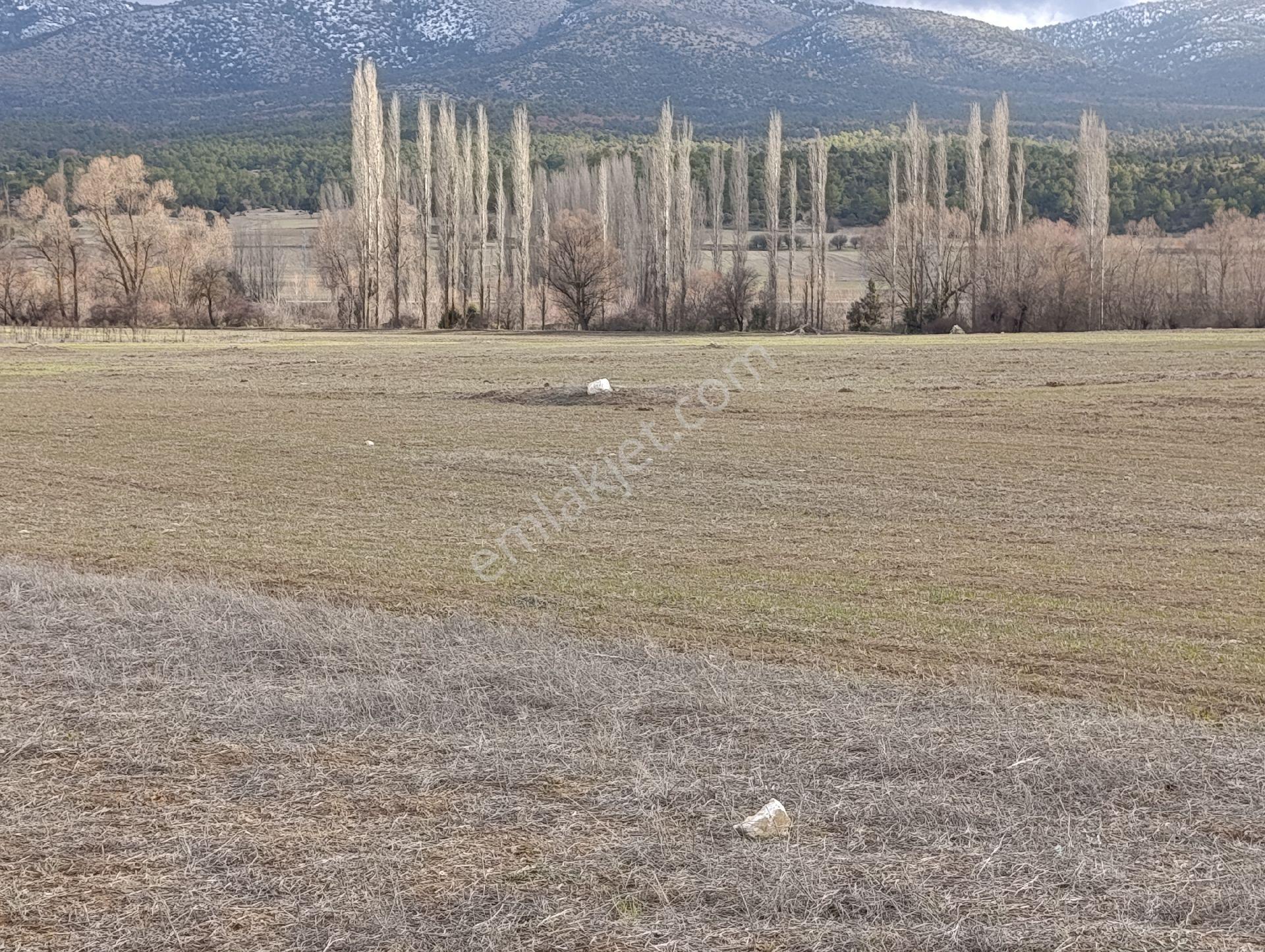 Kütahya Altıntaş Pınarcık Kelepir Arsa Ve Tarla - Görsel 24