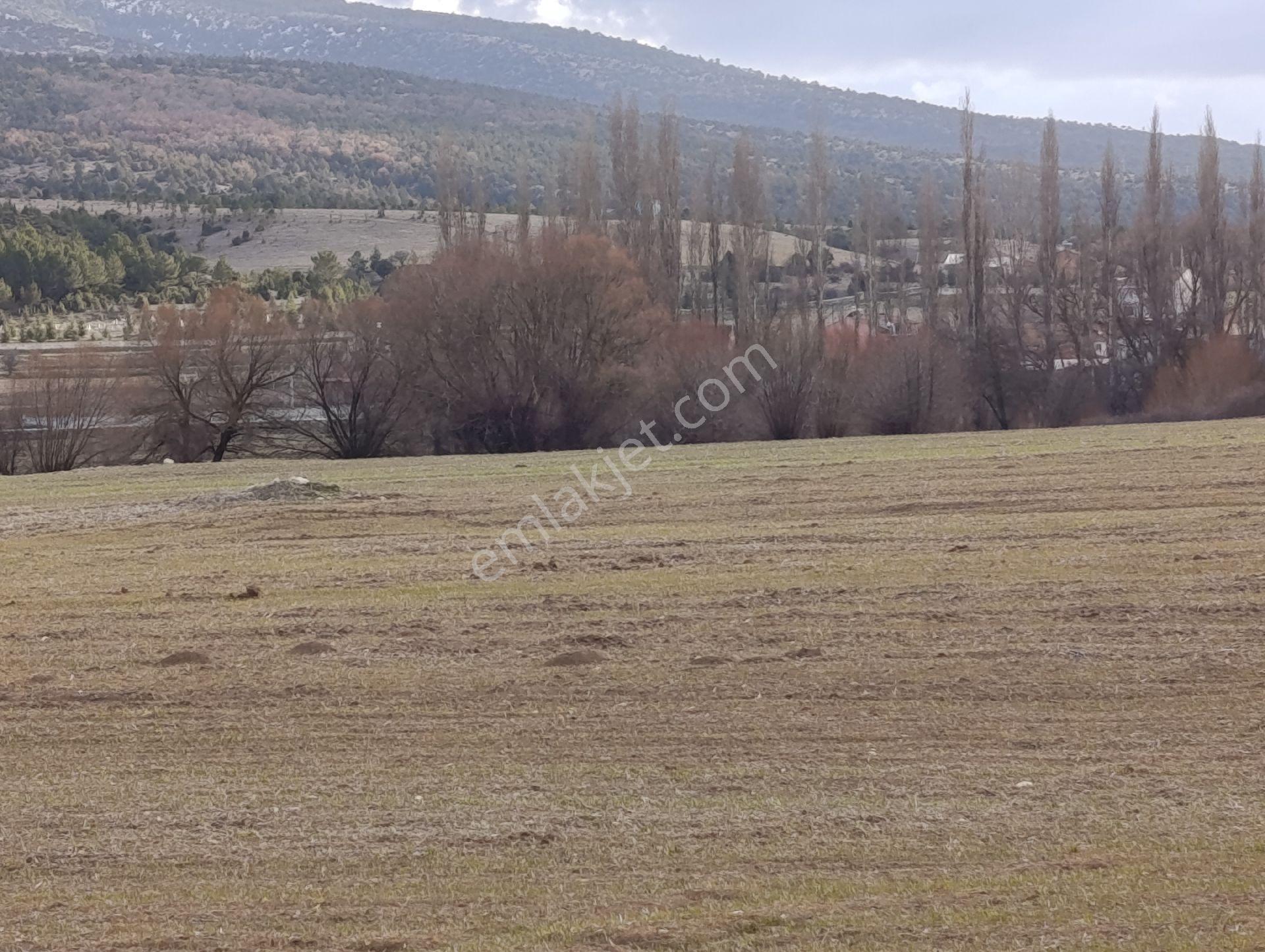 Kütahya Altıntaş Pınarcık Kelepir Arsa Ve Tarla - Görsel 25