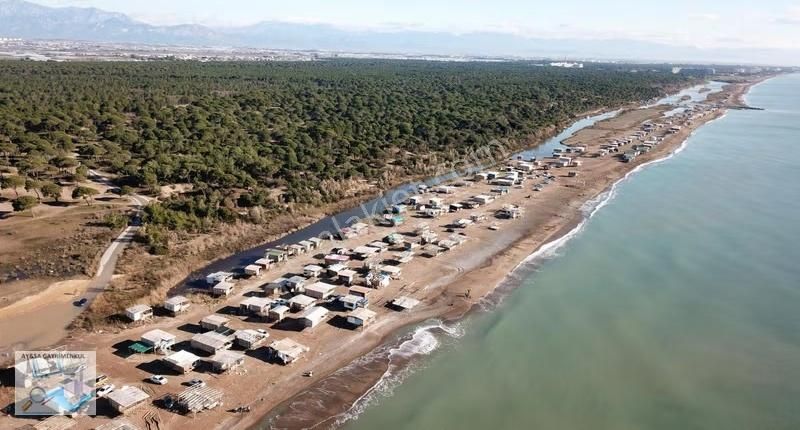 Acil Satılık Yatırım Değeri Her Geçen Gün Artan Kumköy'de 2800m2 - Görsel 2