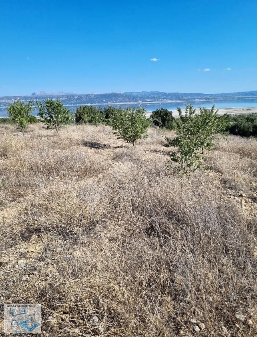 Burdur Merkeze Bağlı İlyas Köyünde 8400m2 Müstakil Tapu - Görsel 6