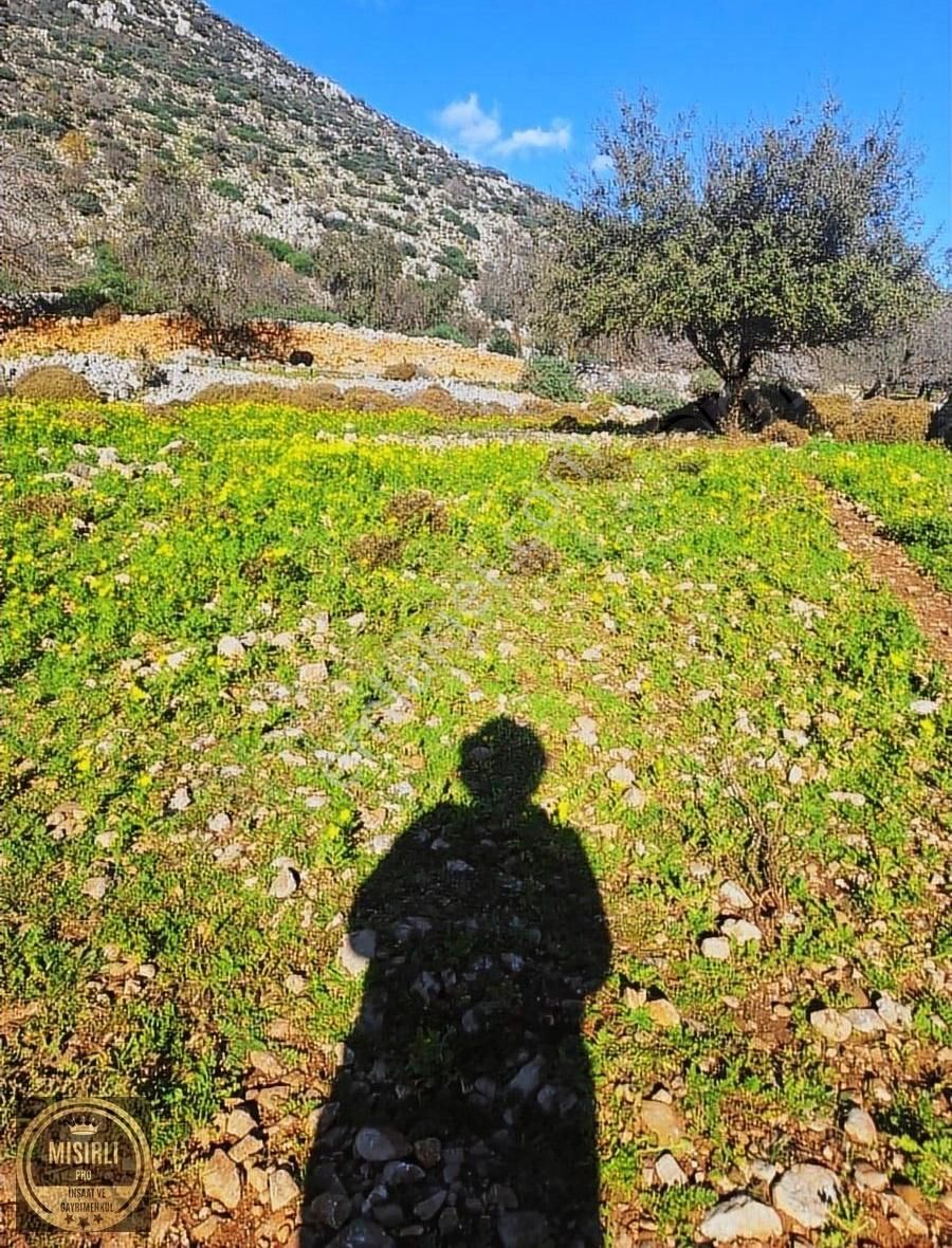 Marmaris Taşlıca Kadastrol Yolu Vardır - Görsel 3