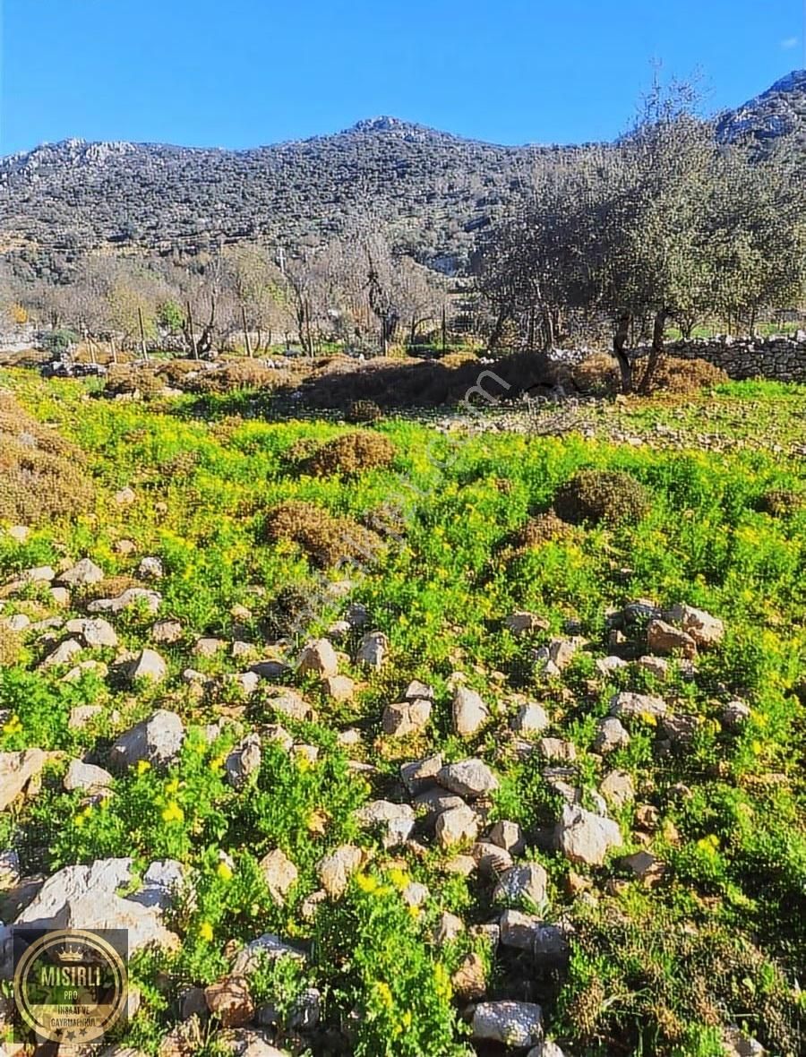 Marmaris Taşlıca Kadastrol Yolu Vardır