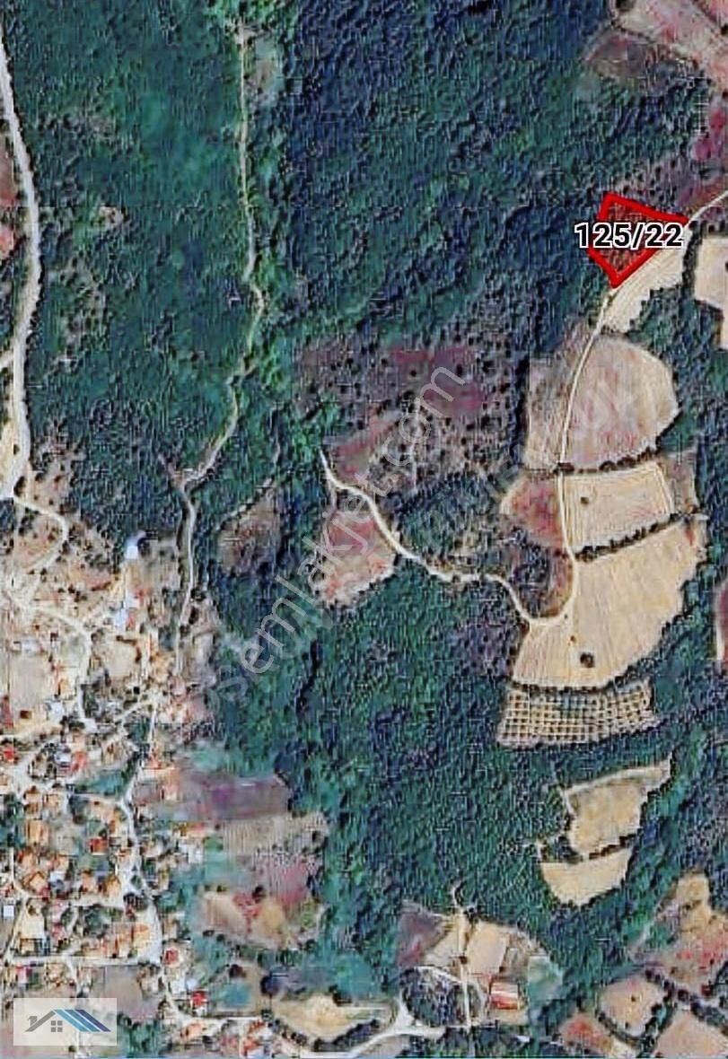Çanakkale/lapseki/dumanlı Mah.satılık Resmi Yollu Arsa - Görsel 5