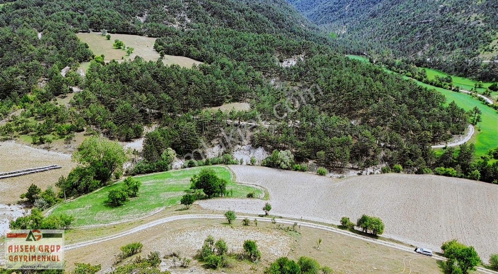 Bolu Göynük'de Yola Cephe 1.618 M2 Satılık Tarla!!! - Görsel 4