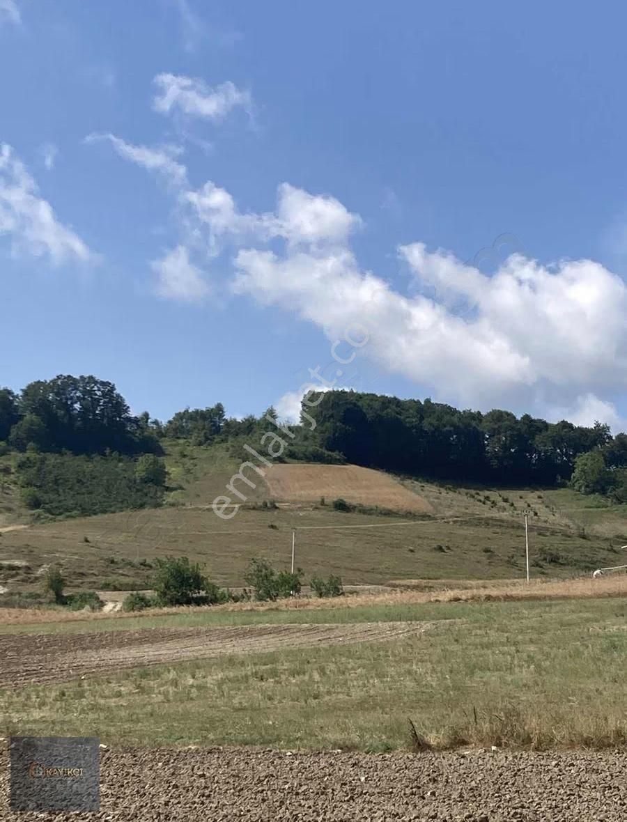 Derince Tahtalı 106/15/3268 M2 Yola Cephe % 5 İmarlı - Görsel 4