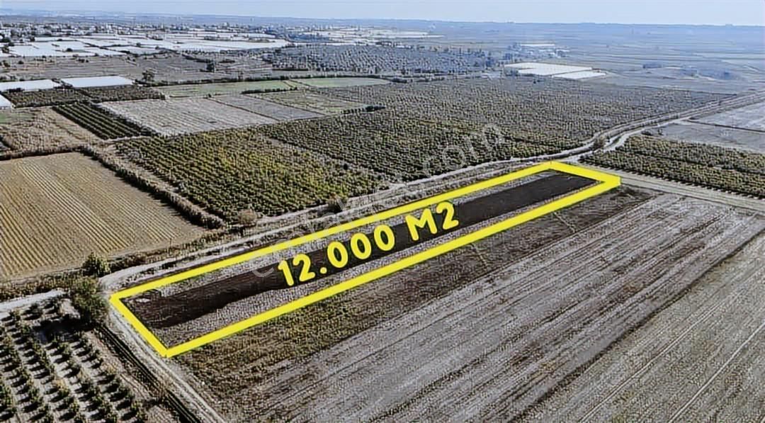 Karadayı Mahallesi Düz, Rızai Taksimli 12.000 M² Hisseli Tarla