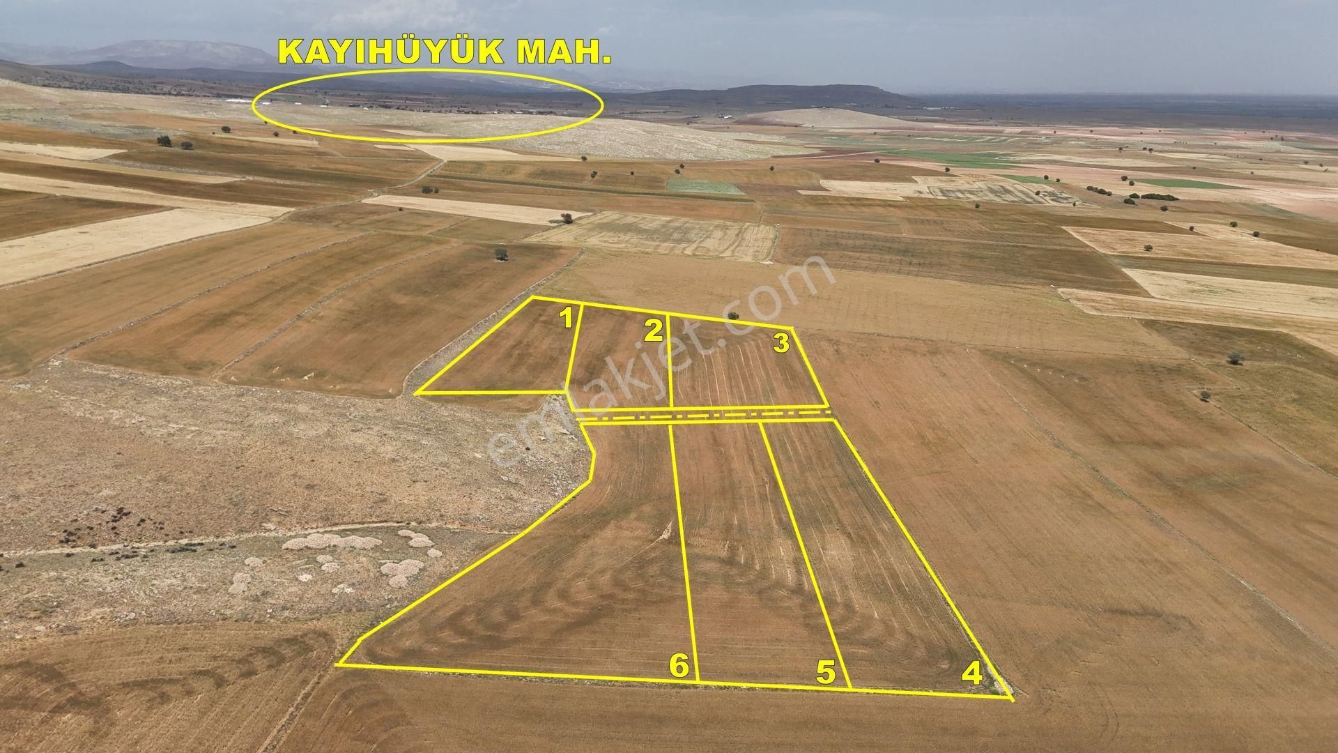 Meram Kayhüyükde 4.153 M2 İntikal Hisseli Tarla - Görsel 2