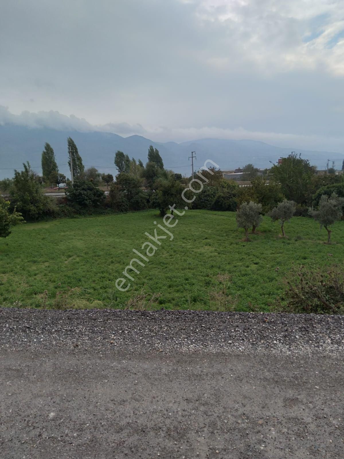 Sahibinden Kiralık - Görsel 3