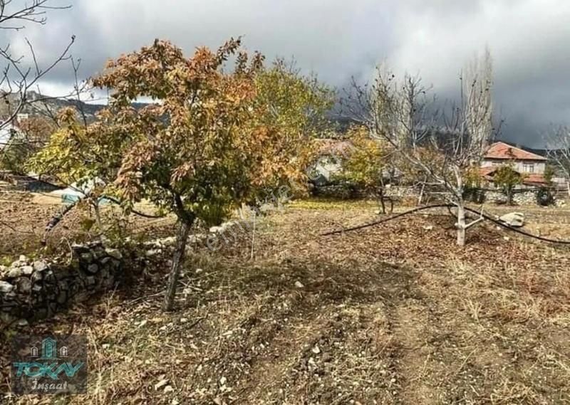 Korkuteli Kevzer Köyünde Satılık Arsa - Görsel 4