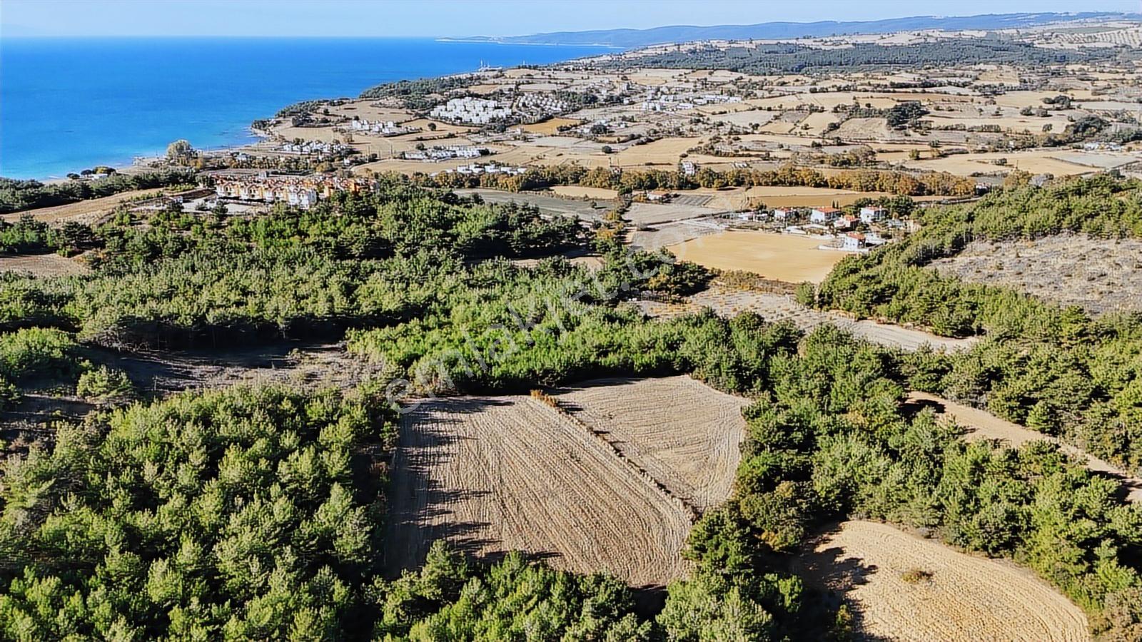 Ege Emlak'tan Deniz Ve Doğa Manzaralı 11.122m2 Tarla - Görsel 5