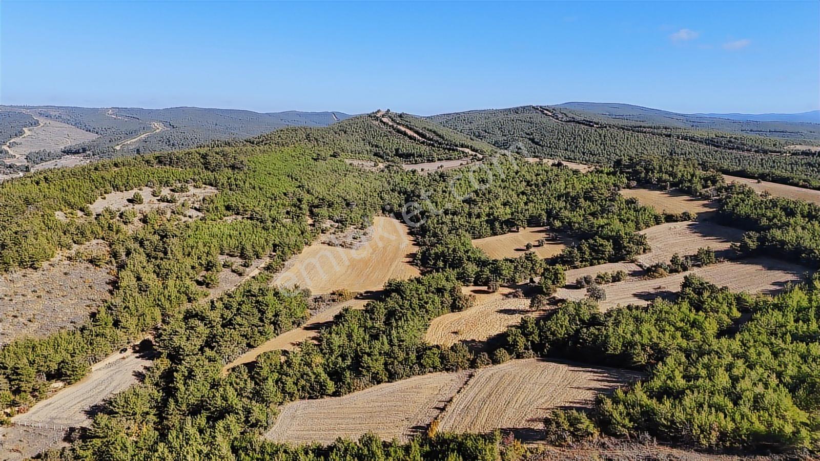 Ege Emlak'tan Deniz Ve Doğa Manzaralı 11.122m2 Tarla - Görsel 13