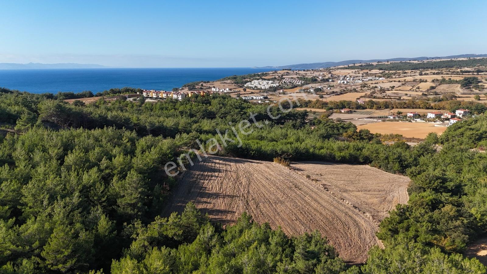Ege Emlak'tan Deniz Ve Doğa Manzaralı 11.122m2 Tarla - Görsel 9
