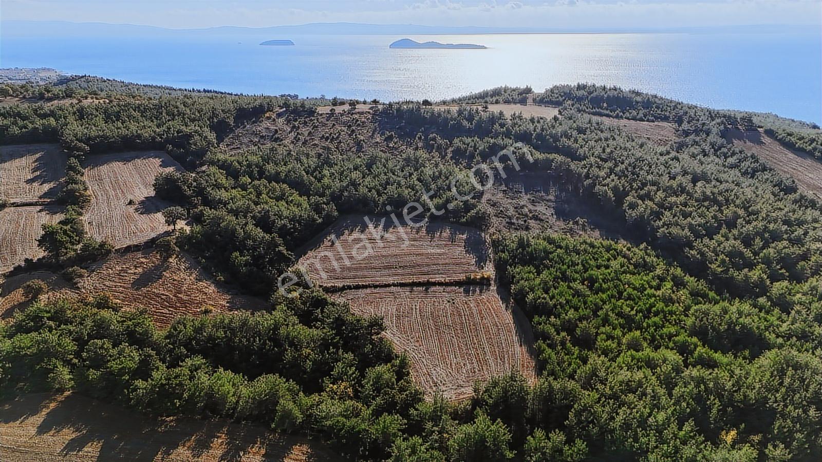 Ege Emlak'tan Deniz Ve Doğa Manzaralı 11.122m2 Tarla