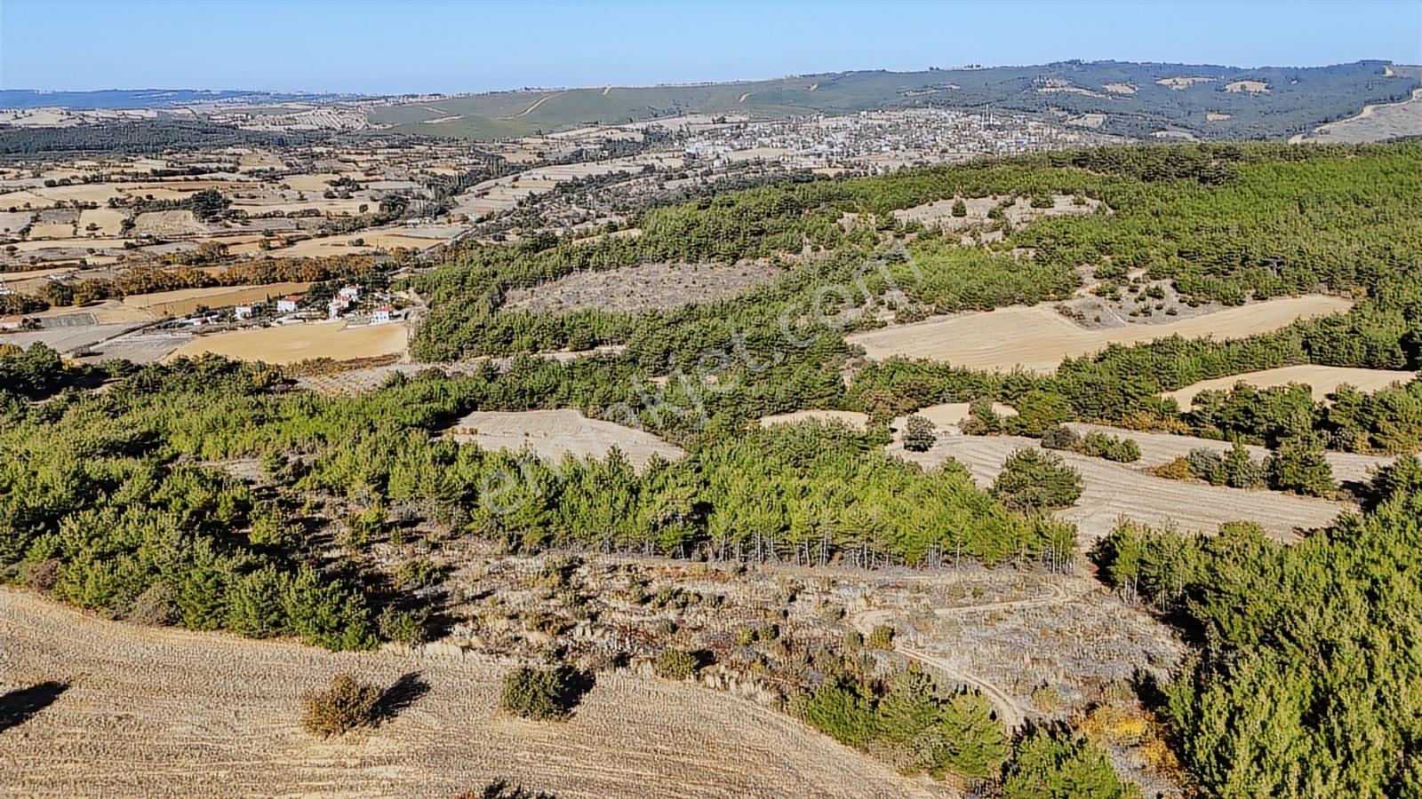 Ege Emlak'tan Muhteşem Deniz Manzaralı 16.250 M2 Tarla - Görsel 8