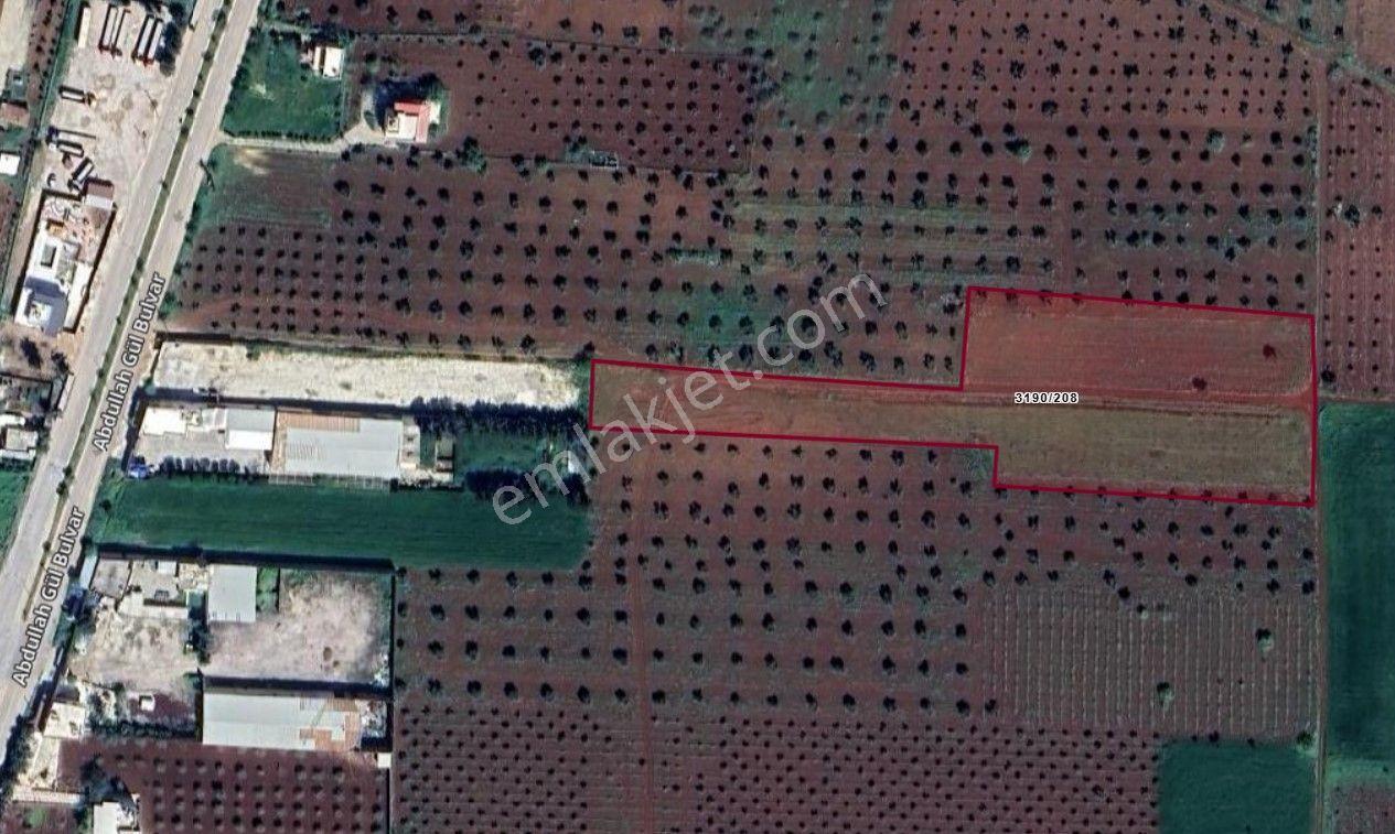Babil Emlaktan Satılık Gümrük Yolundan Bir İçeri Arazi