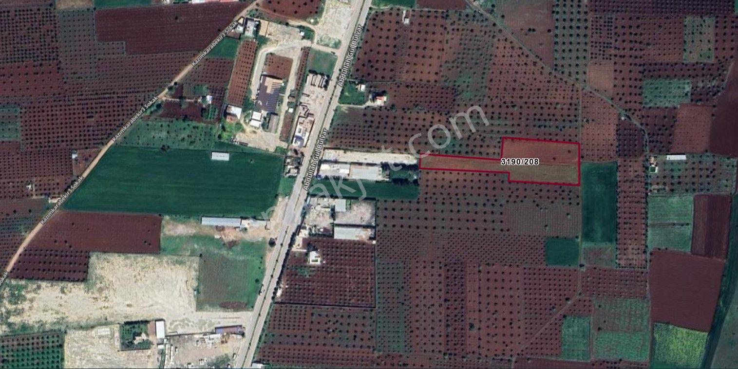 Babil Emlaktan Satılık Gümrük Yolundan Bir İçeri Arazi - Görsel 2