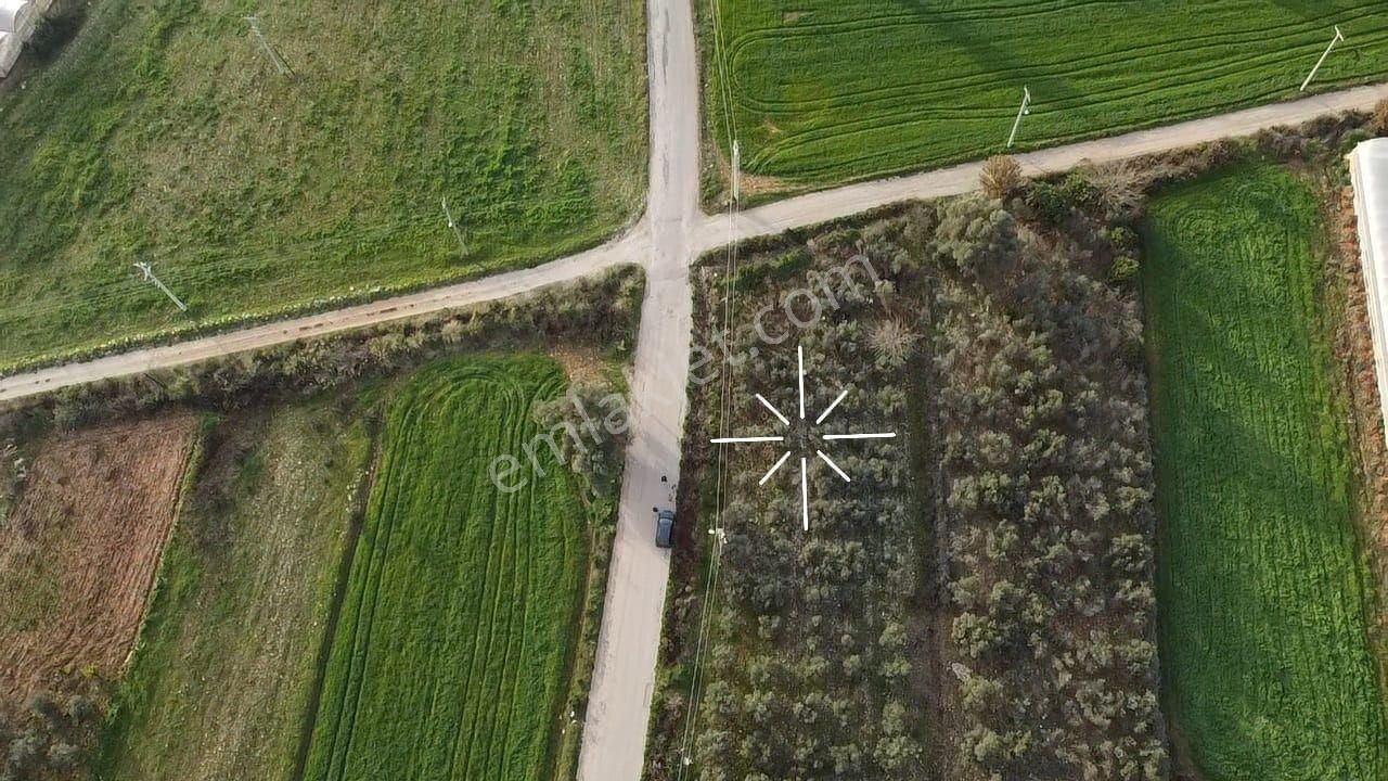 Eşen'de Resmi Yola Cephe 25-75 İmarlı Yatırımlık Arsa - Görsel 3