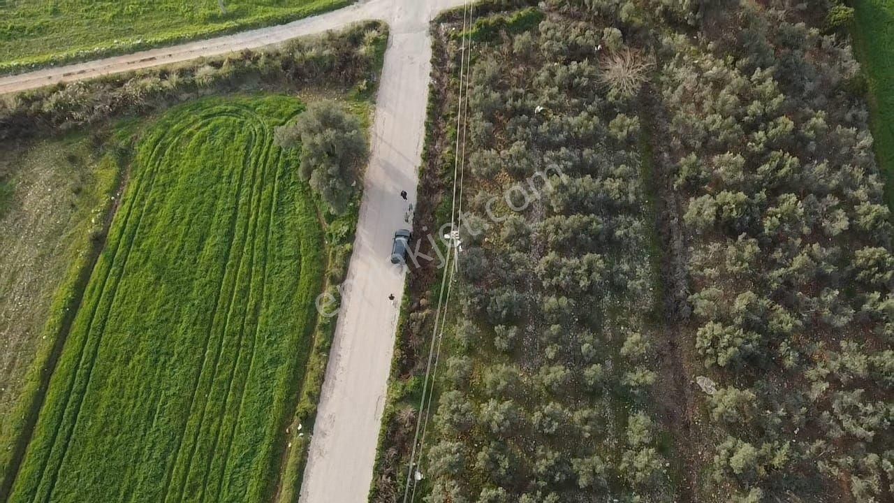 Eşen'de Resmi Yola Cephe 25-75 İmarlı Yatırımlık Arsa - Görsel 12