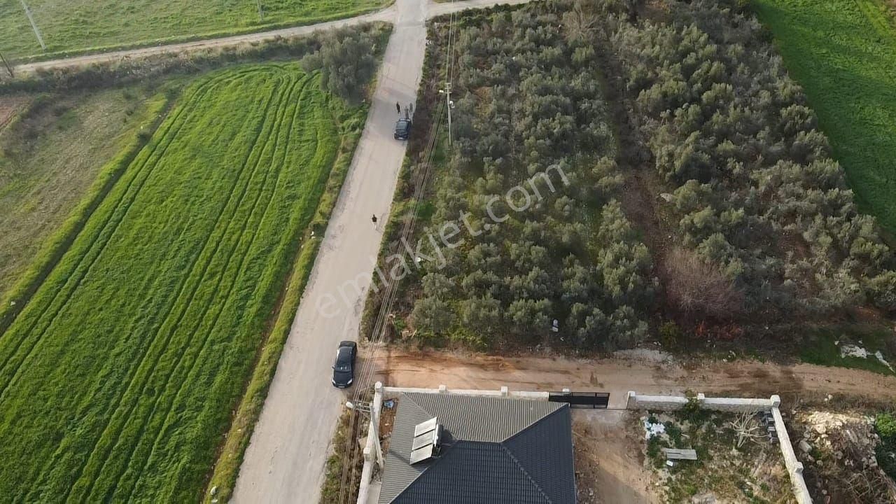 Eşen'de Resmi Yola Cephe 25-75 İmarlı Yatırımlık Arsa - Görsel 8