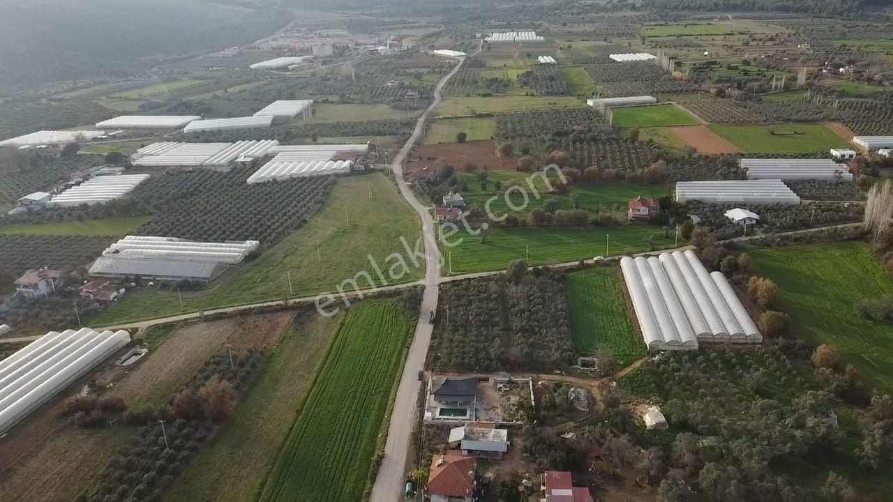 Eşen'de Resmi Yola Cephe 25-75 İmarlı Yatırımlık Arsa - Görsel 5