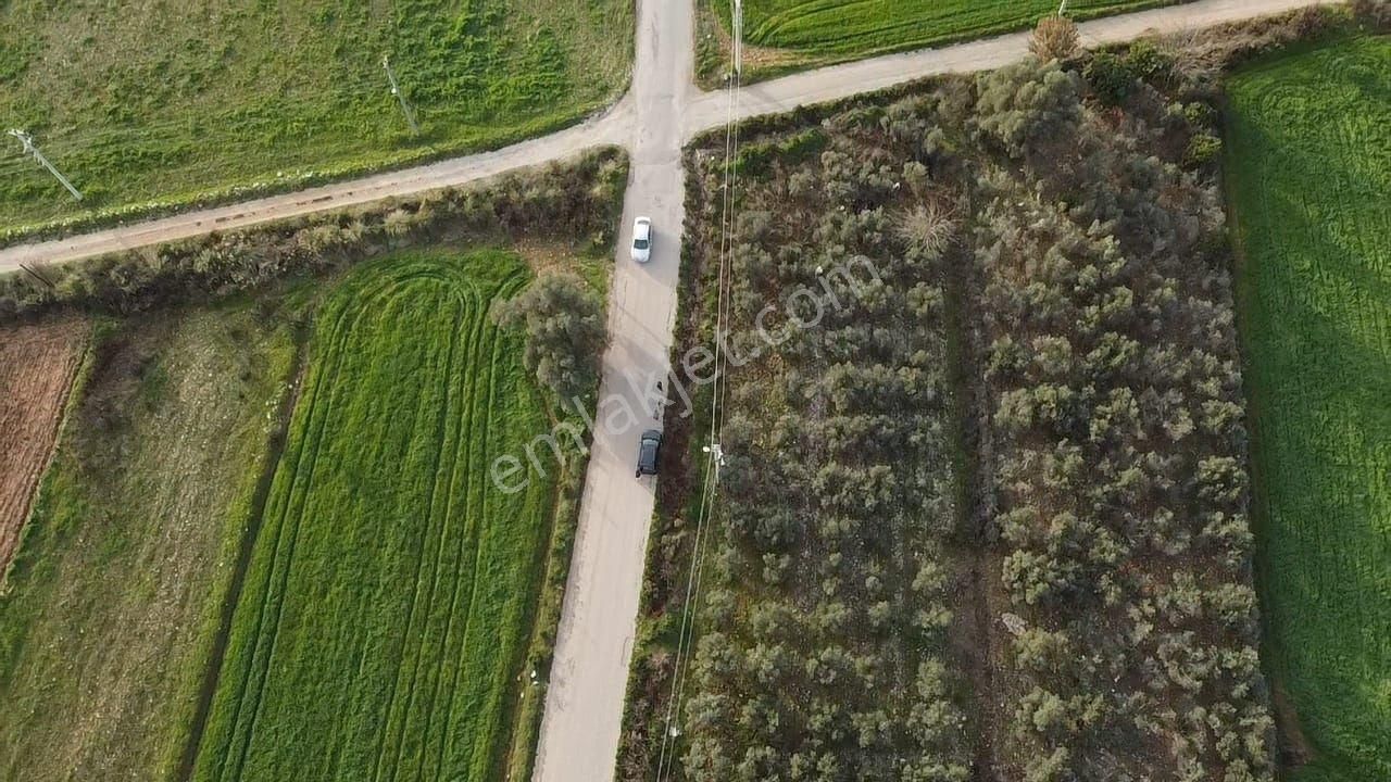 Eşen'de Resmi Yola Cephe 25-75 İmarlı Yatırımlık Arsa - Görsel 25