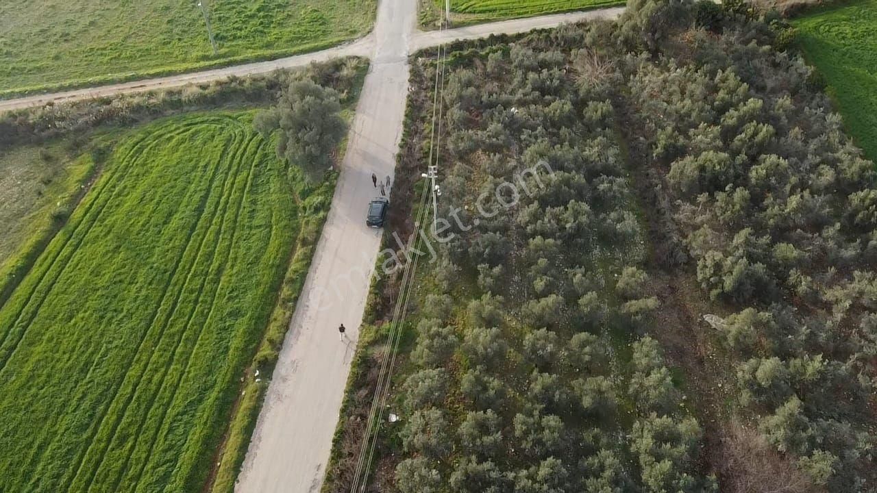 Eşen'de Resmi Yola Cephe 25-75 İmarlı Yatırımlık Arsa - Görsel 13