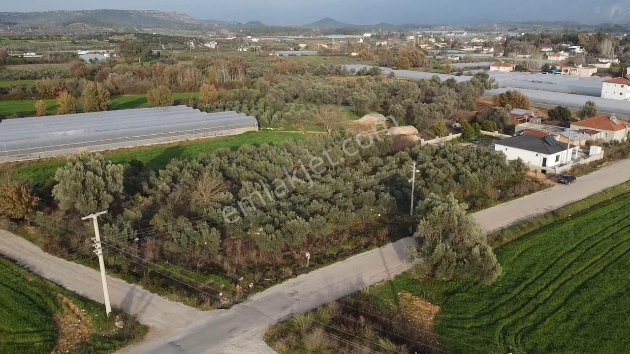 Eşen'de Resmi Yola Cephe 25-75 İmarlı Yatırımlık Arsa - Görsel 14