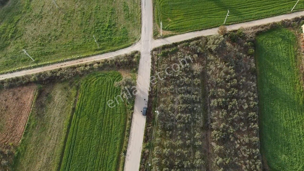 Eşen'de Resmi Yola Cephe 25-75 İmarlı Yatırımlık Arsa - Görsel 10