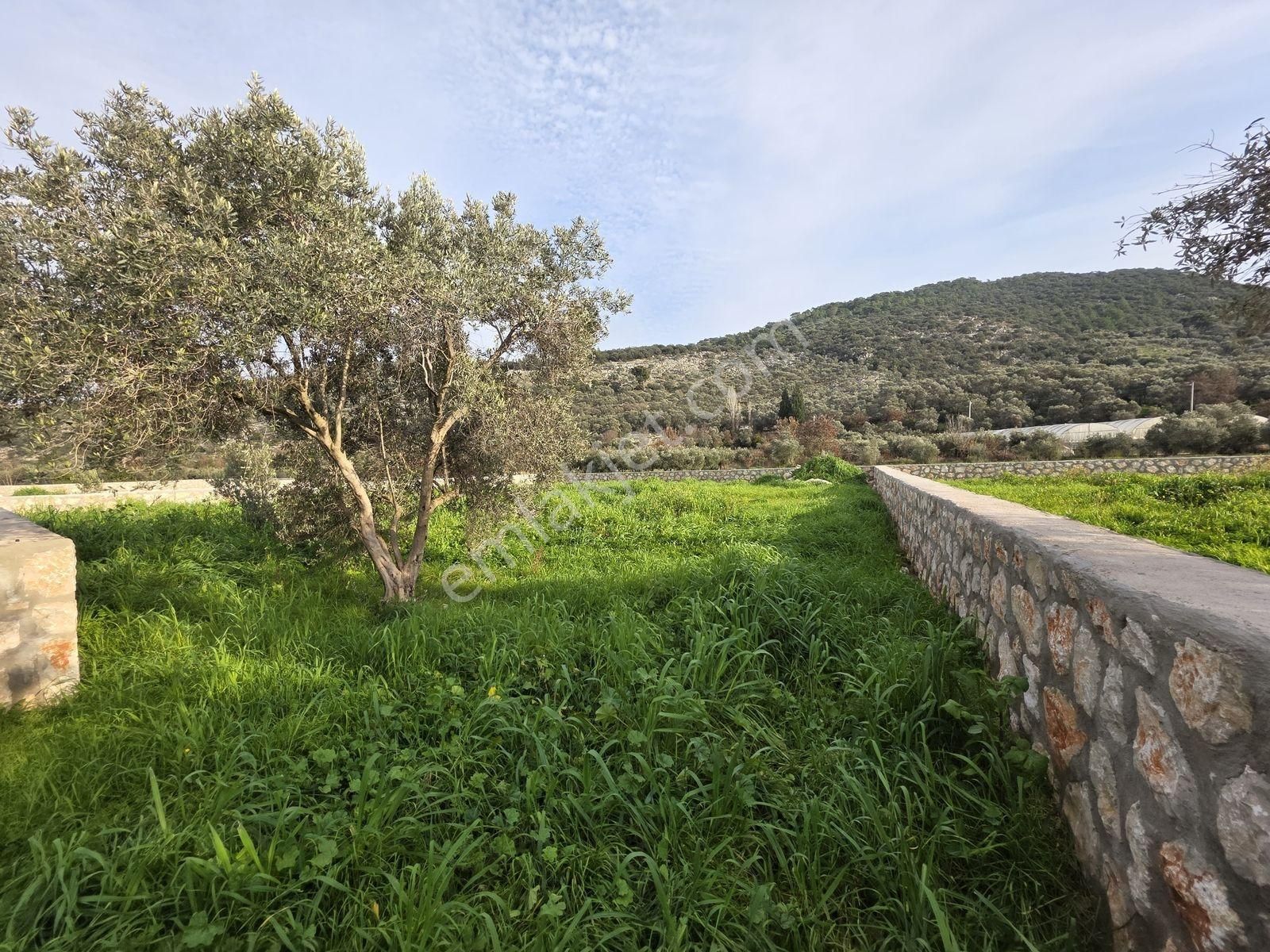 Gölbent Mah.590 M2 Köyiçi İmarlı Projesi Hazır Satılık Arazi - Görsel 19