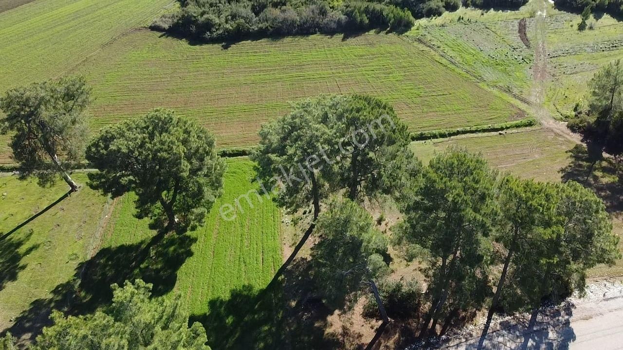 Seydikemer Kayadibi'nde Doğayla İç İçe Satılık 790m2 Arazi - Görsel 29