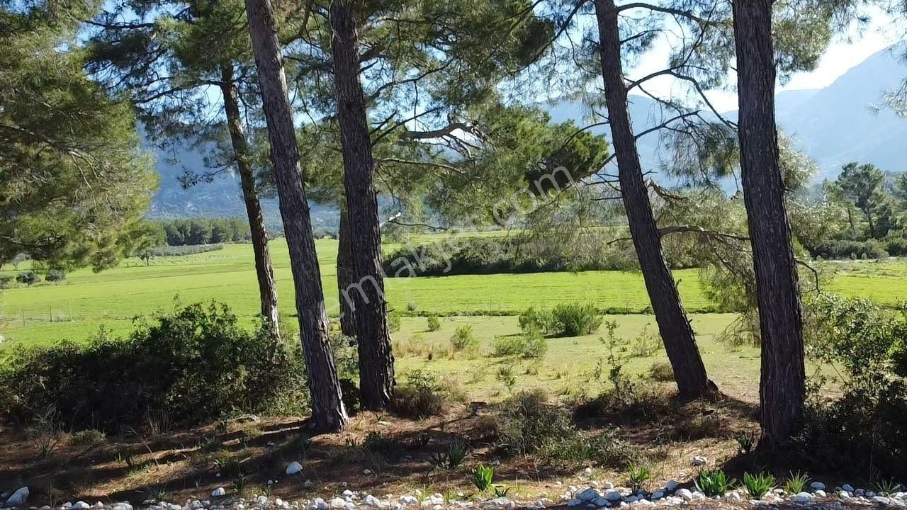 Seydikemer Kayadibi'nde Doğayla İç İçe Satılık 790m2 Arazi - Görsel 11